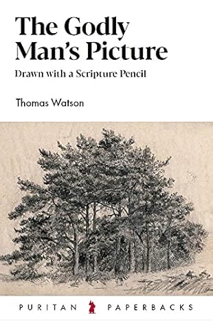 The Godly Man's Picture book img